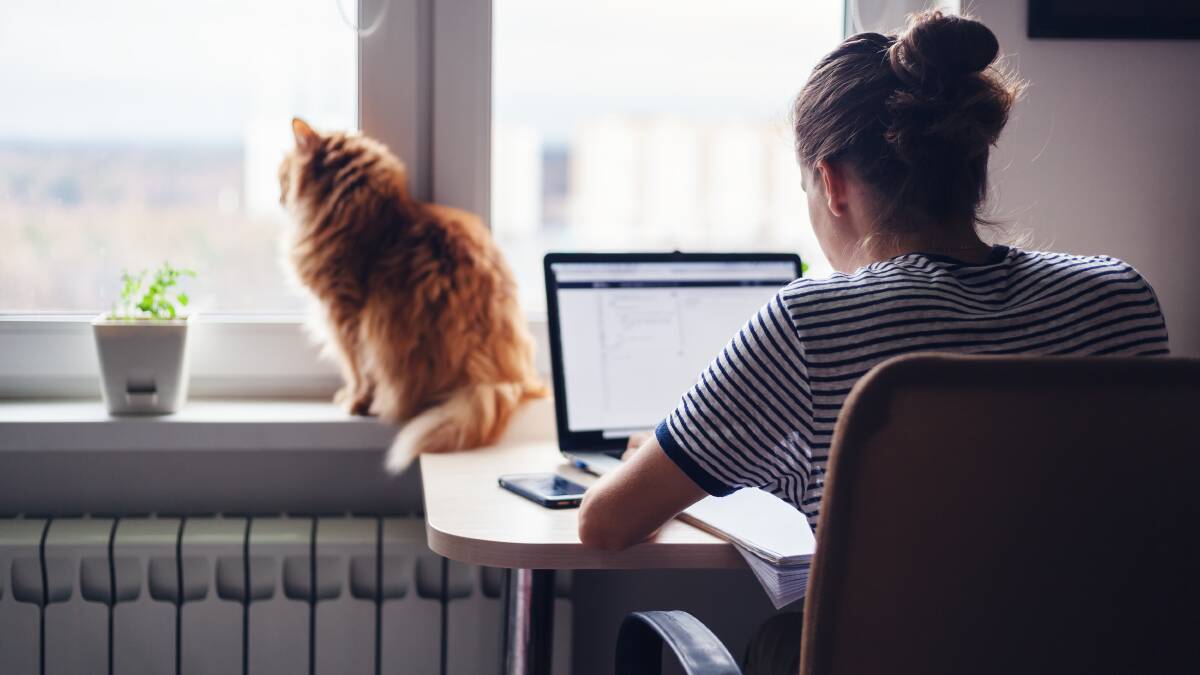 Most businesses still haven't learnt their work-from-home lesson