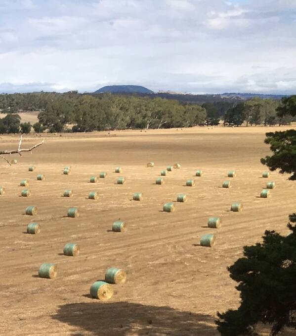 SUMMER FIELDS: Driving from Daylesford to Yandoit, I feel as if I am in a Vincent van Gogh painting. 
