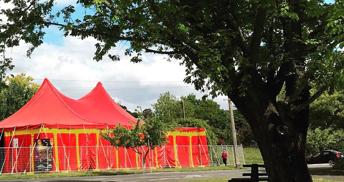 Plenty on offer at circus fest