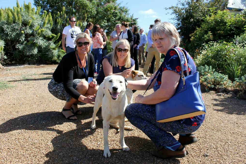 Child and Family Services (CAFS) Ballarat staff members pat a therapy dog at The Tangled Maze. Picture: Rochelle Kirkham