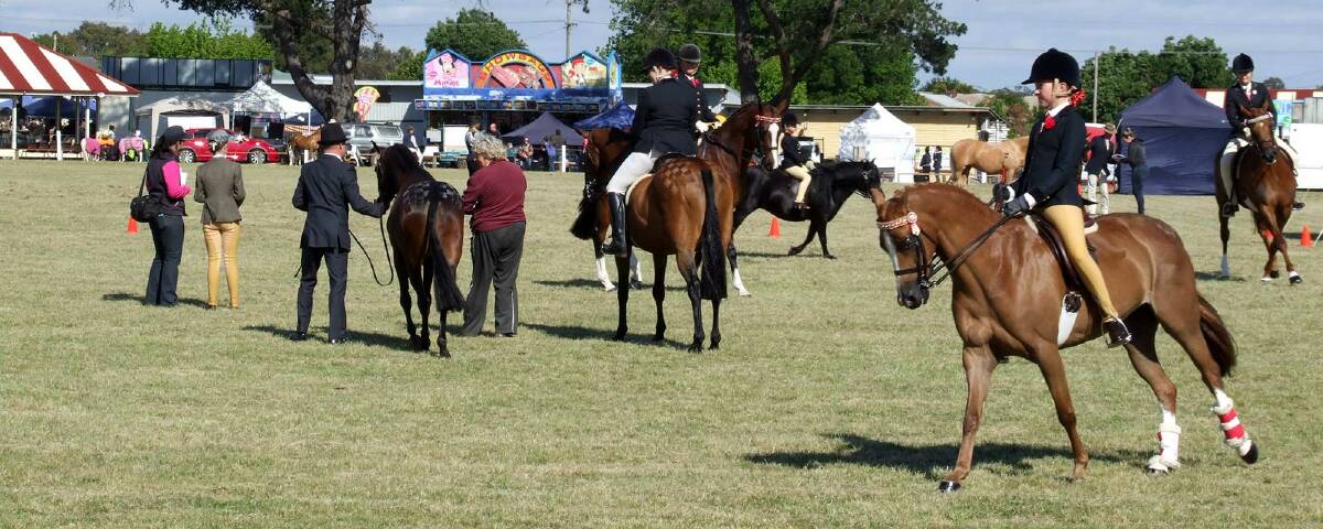 Picture: Clunes Show 