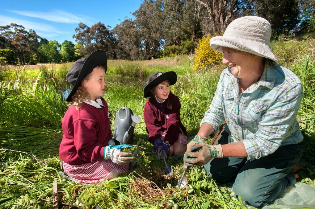 LAND CARE: Primary school students and volunteers work to revegetate Trent Creek at the site of the old swimming pool in Trentham. Picture: Sandy Scheltema. 