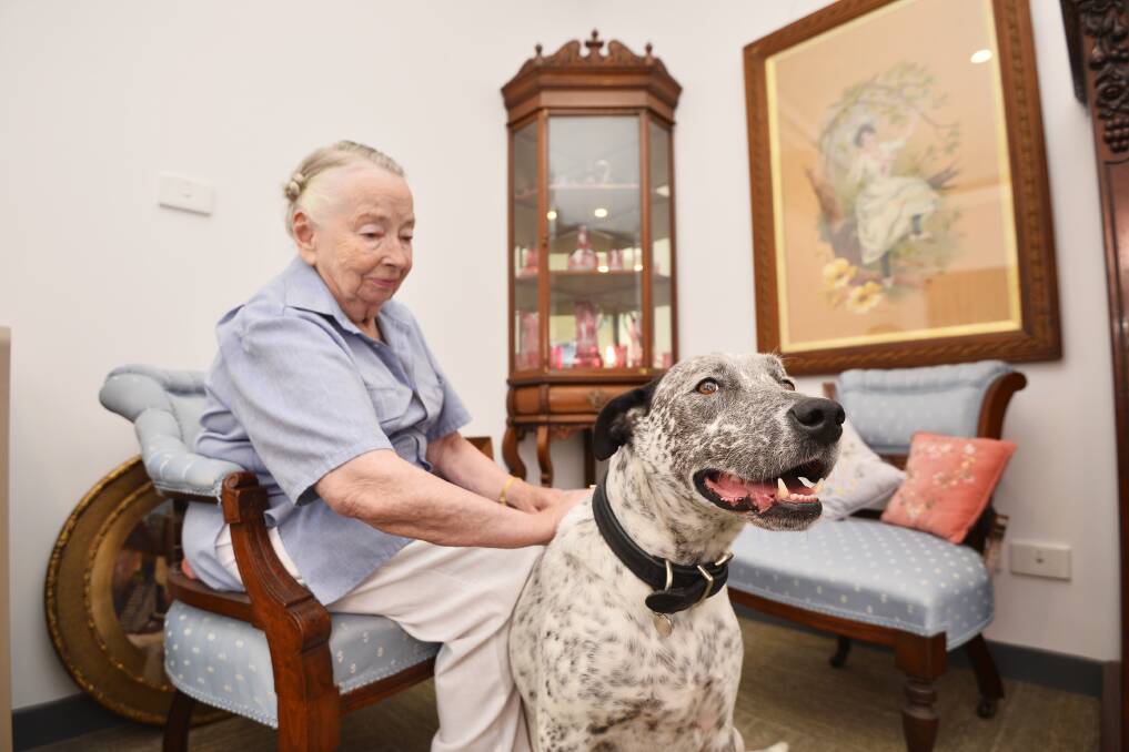 COMFORTABLE ROOMS: Lucia Stephens and her dog Sarbi in a newly refurbished room at John Curtin Aged Care. The wing was officially opened in October.
