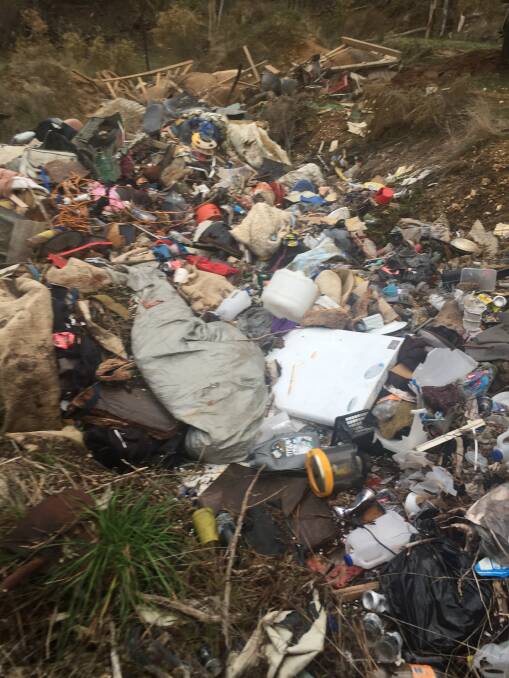 APPALLED: Yandoit resident Sharon Treloar came across the 'disgusting heap' during an afternoon walk with friends on Yandoit Track. 