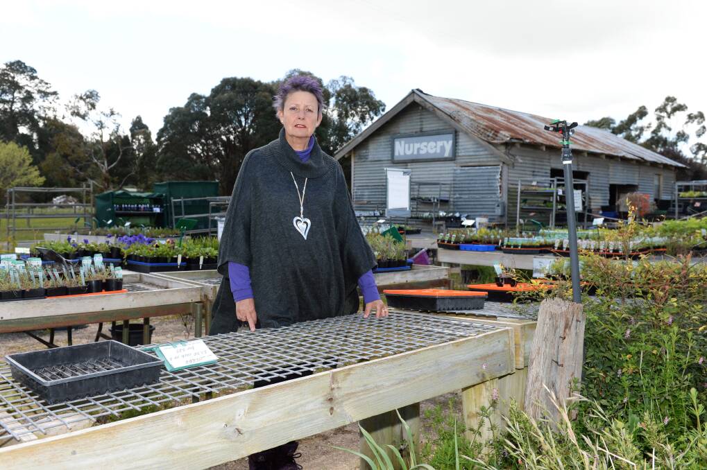 SHOCKED: Nursery owner Rebecca Sprosen was left shocked by the theft. Picture: Kate Healy. 