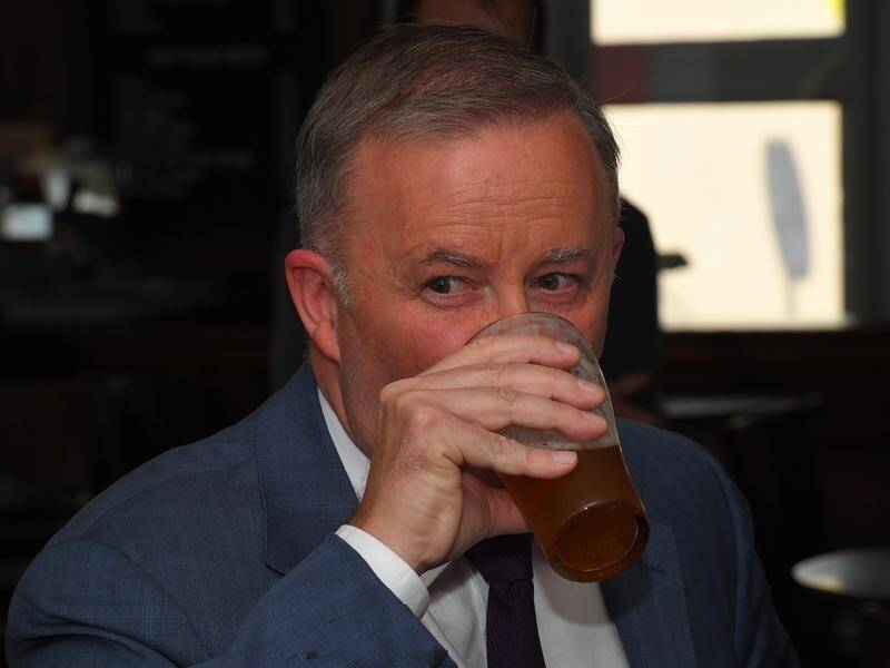 Labor's Anthony Albanese enjoys a post election commiseration beer at the Unity Hall Hotel, Balmain.
