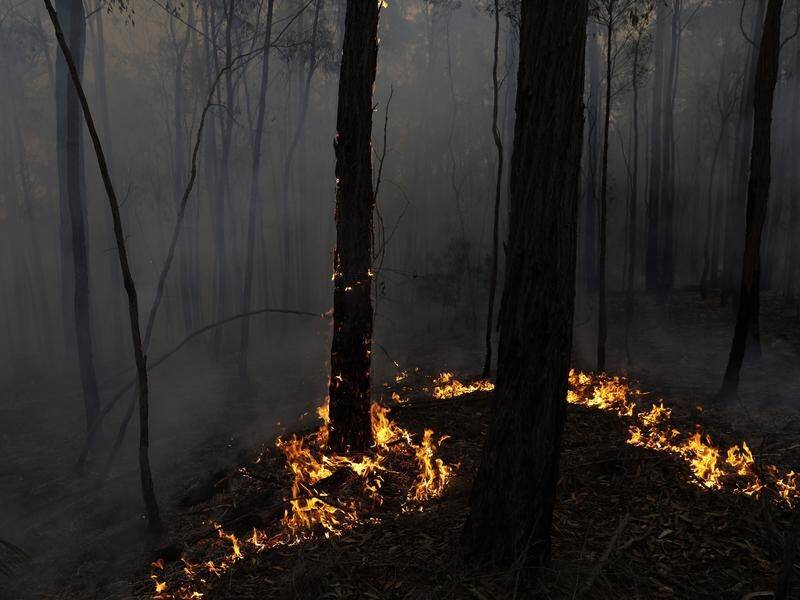 NSW has set aside $192 million to better prepare the state after the Black Summer bushfires.