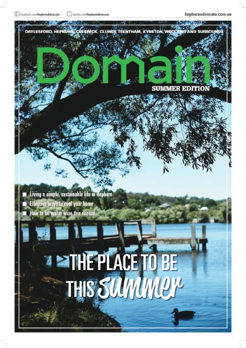 The Advocate Domain Summer Edition