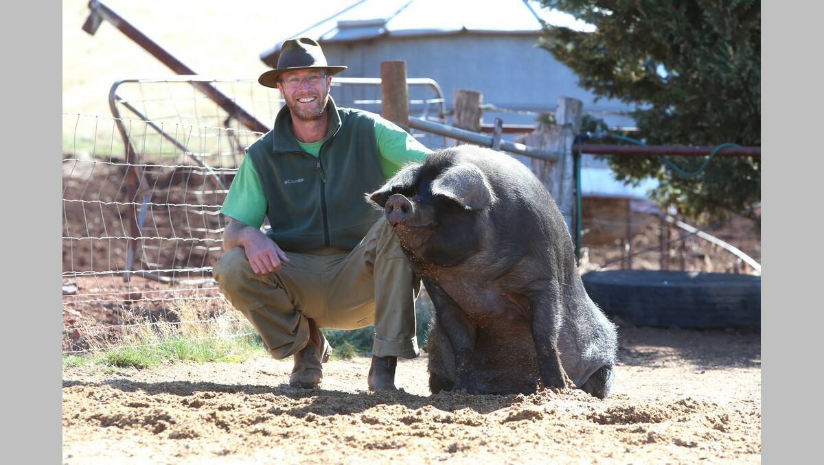 Stuart Jonas with his Large English Black pig.